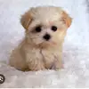 Manuela Salazar - @manuela.salazar205 - TikTok