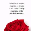 Manuela Salazar - @manuela.salazar5 - TikTok