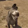 Manu. -☆-.manu - @manuela.solano0 - TikTok