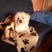 Manuela Walter - Facebook