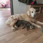 Manuela Walter - @manuela.walter.395 - Instagram