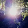 @emmelielovecheer - @manuela.wendt64 - TikTok