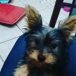 manuela de borba wendt - @manueladeborba - Instagram