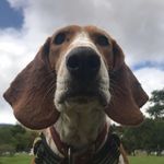 Manuela Wilson Zapata - @manuelawilsonzapata - Instagram