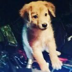 Manuelito Rodriguez - @manuelito____rodriguez - Instagram