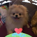 Joy Joy - @manyi.wong.7399 - Instagram