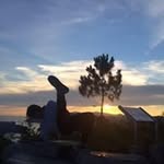 Man Yi Wong - @wongmanyi - Instagram