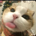 Man Yi Wong - @manyiwongwong - Instagram