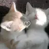<3 - @chip_mao - TikTok