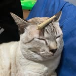 ʜᴇᴀʀᴛ ʟᴀɴᴅ༄ - @mao_chip_hai_loey - Instagram