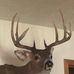 Hunter Maple - Facebook