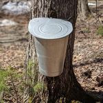 Robinson Family Maple - @robinsonfamilymaple - Instagram