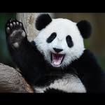 Mara Barnes 🐼 - @mara.barnes - Instagram