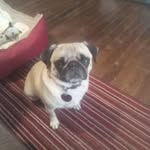 Mara Bean - @mara.bean.71 - Instagram