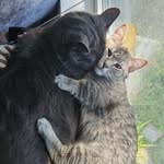 Mara Bean & Toxic Bub - @marmar.toxic - Instagram