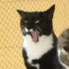 marabean58 - @marabean58 - TikTok