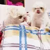 Mara Bernardo - @marabernardo5 - TikTok