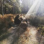 Māra Blumfelde - @mara_blumfelde - Instagram