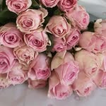 blumen_mara - @blumen_mara - Instagram