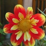 mara - @mara.blume8175 - Instagram
