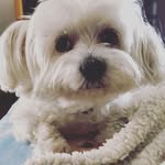 Mara Bozzato - @bozzato.mara - Instagram