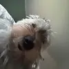 Иисус - это все❤️❤️✝️ - @marabraun - TikTok