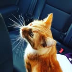 Mara Braun - @mara2432 - Instagram