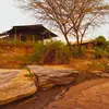 MaraDumaBushCamp - @maradumabushcamp - TikTok