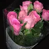 mara carroll - @mara.carroll - TikTok