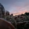 marareira - @marareiracarroll2 - TikTok