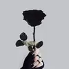 . - @maraclementinaesp - TikTok