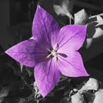 Mara Coates - @invisible_voice_ - Instagram