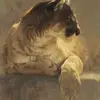 Mara Cochran - @user379254109091 - TikTok