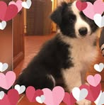 Mara Conti - Facebook
