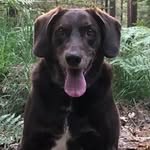 MaraCook - @maracook50 - Instagram