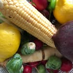 Tamara Blatz - @mara___cooks - Instagram