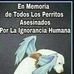 Mara Coronado Rojano - Facebook