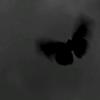 couchmara - @couchmara1 - TikTok