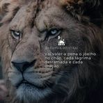 Mara Davi - Facebook