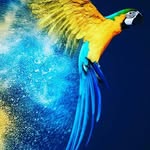 samo maradicani - @maradickiii_bongo - Instagram