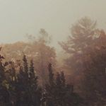 Mara Evans - @mara4mara - Instagram