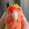 maraevans4 - @mara41130 - TikTok