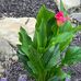 Mara Frey - Facebook