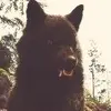 Mara Hale - @alphahale22 - TikTok