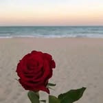 marahood - @marahood428 - Instagram