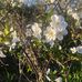 Mara Klug - Facebook