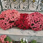 Марал Онгаркызы - @maralongarkyzy - Instagram