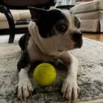 Mara Murphy - @maramurphy8264 - Instagram
