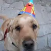 mara.murphy - @mara.murphy - TikTok