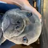 maraphelps17 - @maraphelps17 - TikTok